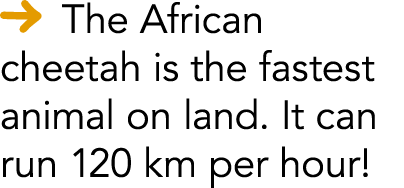   The African cheetah is the fastest animal on land  It can run 120 km per hour 