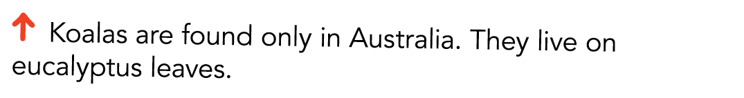   Koalas are found only in Australia  They live on eucalyptus leaves 