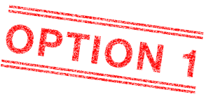 OPTION 1