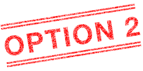 OPTION 2