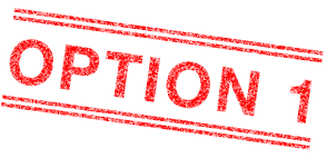 OPTION 1