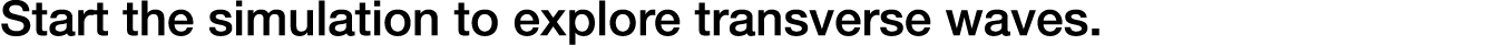 Start the simulation to explore transverse waves.