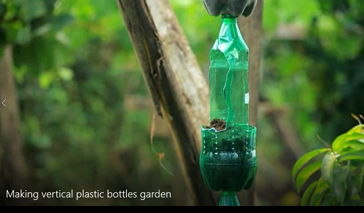 Vertical plastic bottles garden