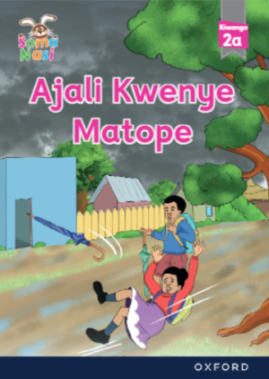 Ajali kwenye Matope -2a